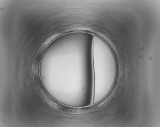X0000082201273200701191041