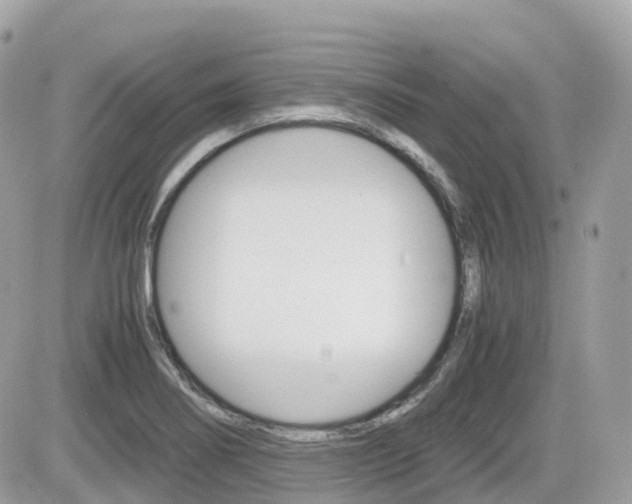 X0000082201274200701191041