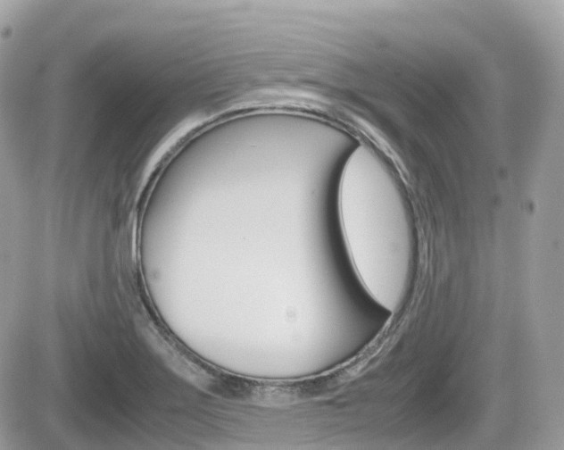 X0000082201275200701191041