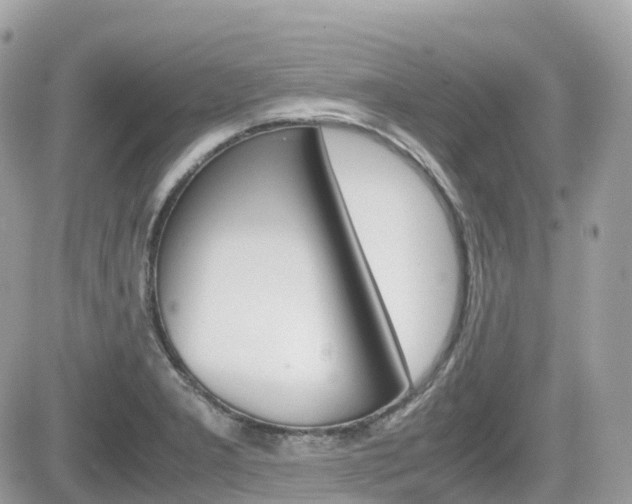 X0000082201277200701191041