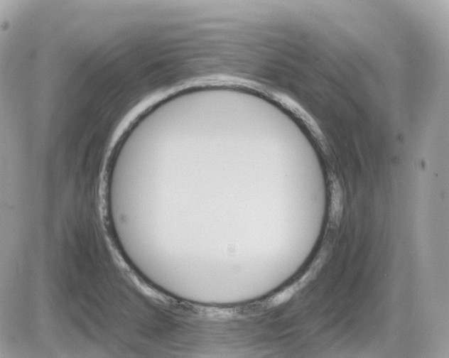 X0000082201278200701191041