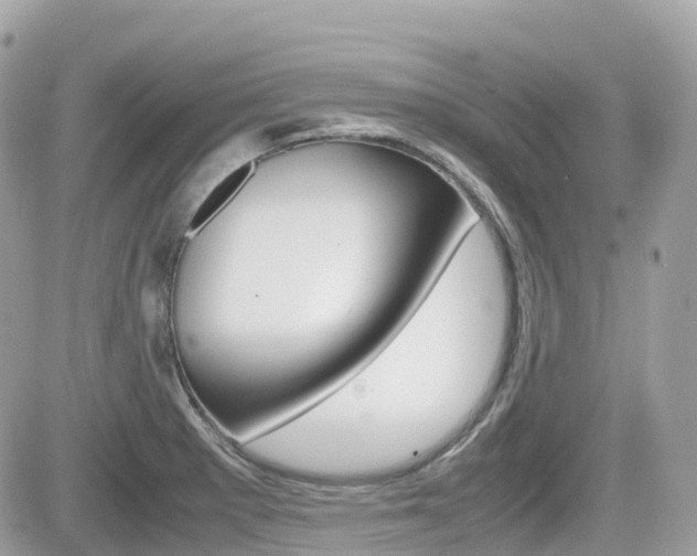 X0000082201281200701191041