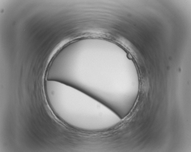 X0000082201283200701191041