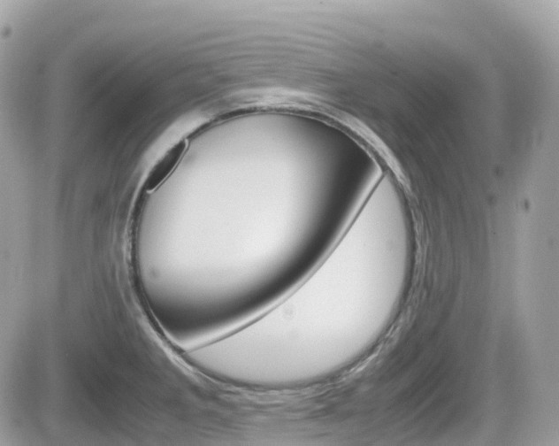 X0000082201285200701191041