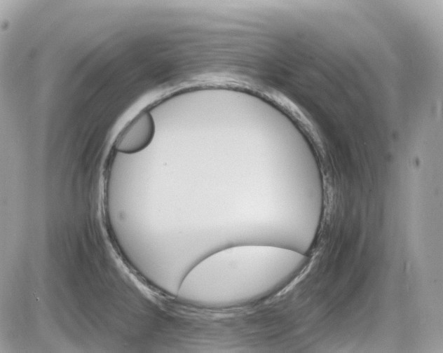X0000082201286200701191041