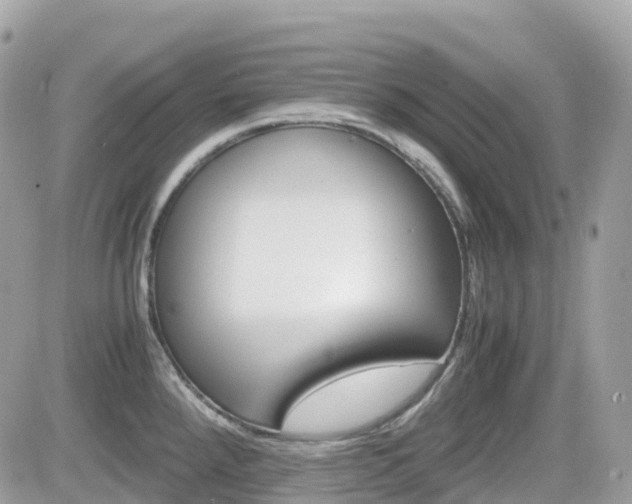 X0000082201288200701191041