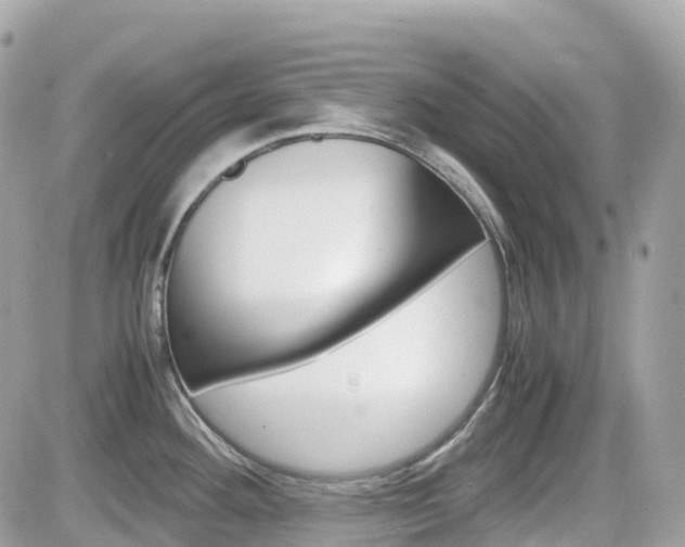 X0000082201292200701191041