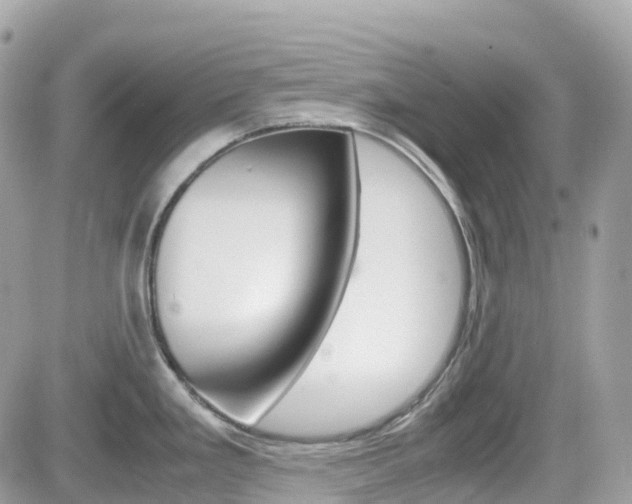 X0000082201293200701191041
