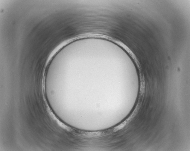 X0000082201294200701191041