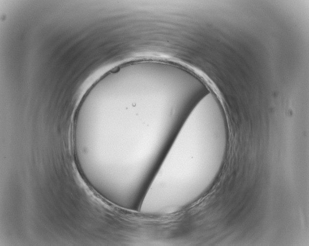 X0000082201295200701191041
