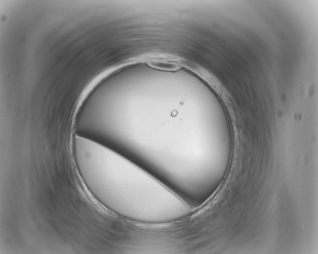 X0000082201296200701191041