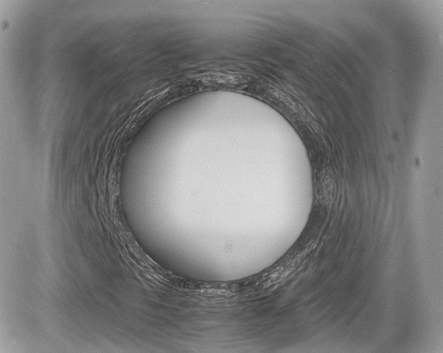 X0000082201297200701191040