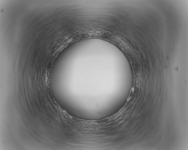 X0000082201298200701191040