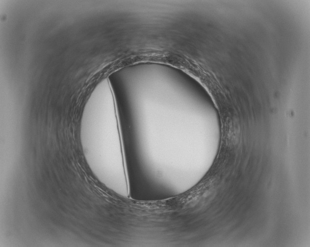 X0000082201301200701191040
