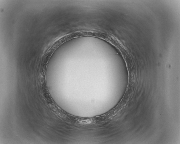 X0000082201303200701191040