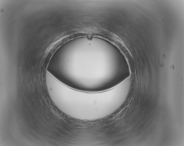 X0000082201304200701191040