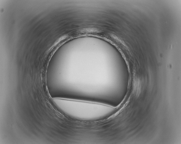 X0000082201305200701191040