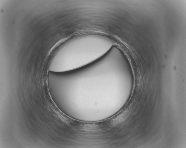 X0000082201306200701191040