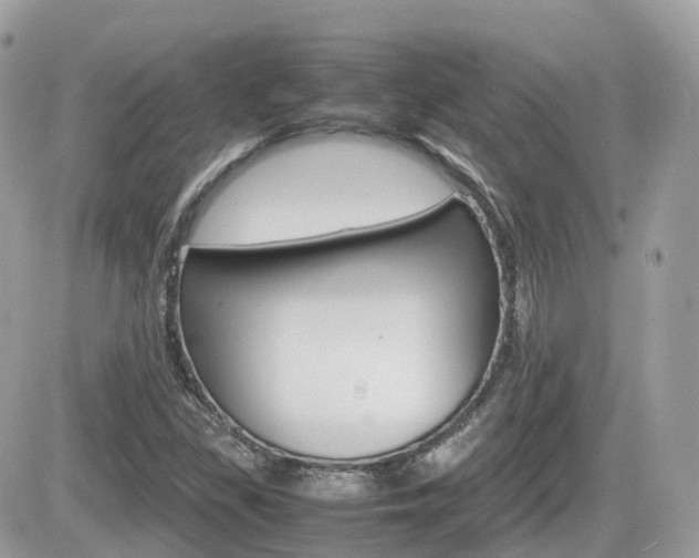 X0000082201309200701191040
