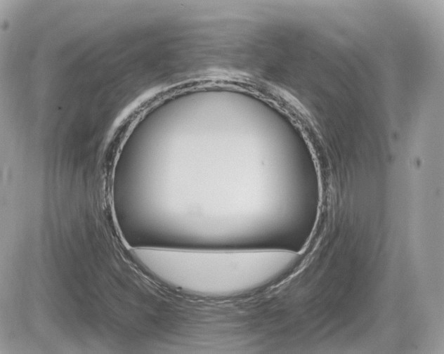 X0000082201310200701191040