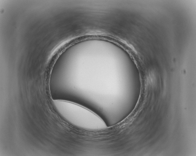X0000082201311200701191040