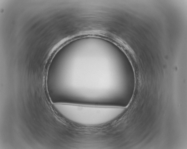X0000082201316200701191040