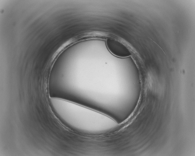 X0000082201321200701191040