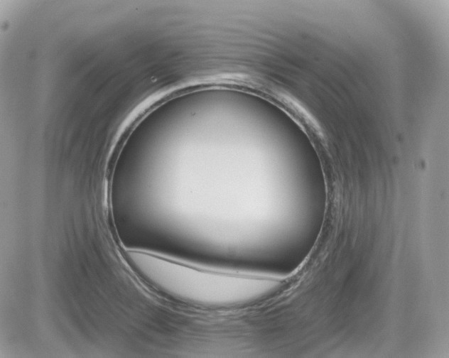 X0000082201324200701191040