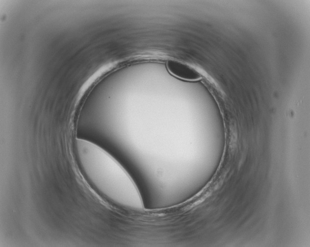X0000082201325200701191040