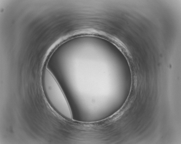 X0000082201326200701191040