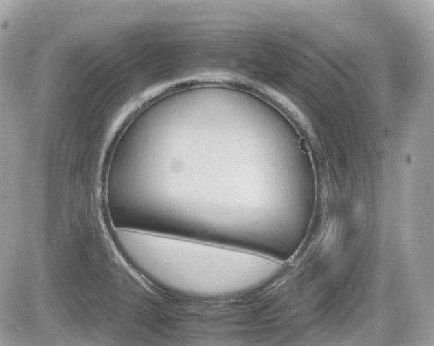 X0000082201327200701191040