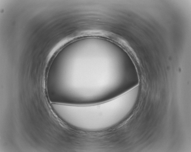 X0000082201328200701191040