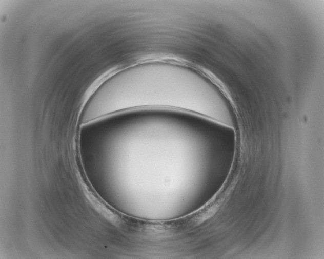 X0000082201330200701191040