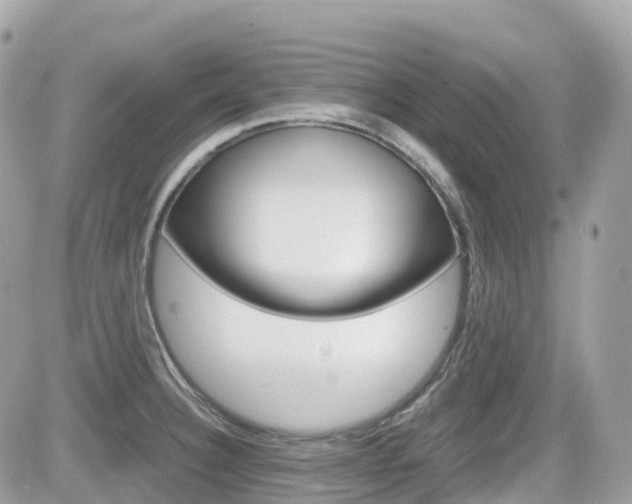 X0000082201332200701191040