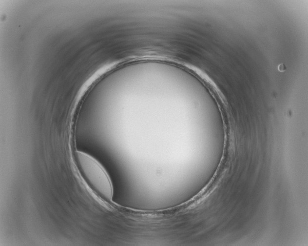 X0000082201333200701191040