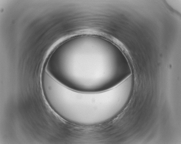 X0000082201334200701191040