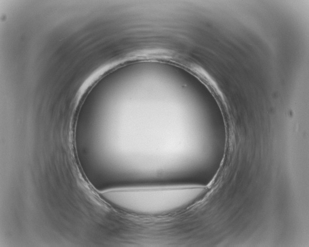 X0000082201336200701191040