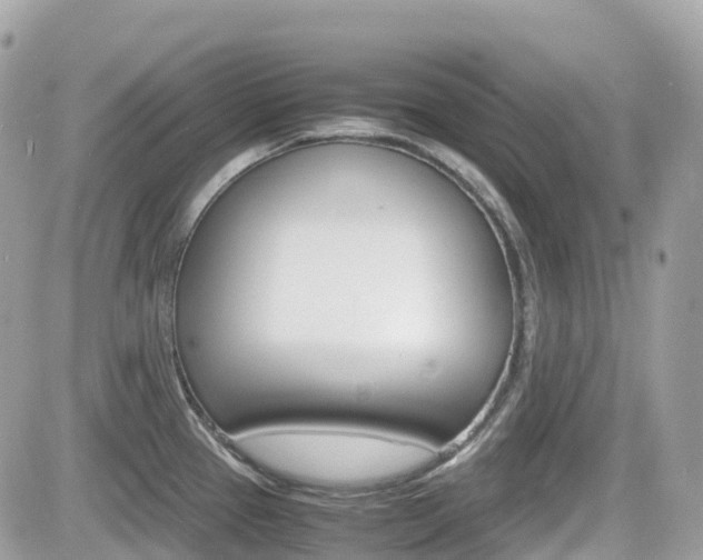 X0000082201337200701191040