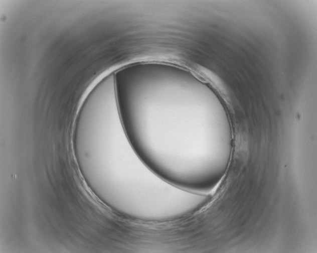 X0000082201340200701191040