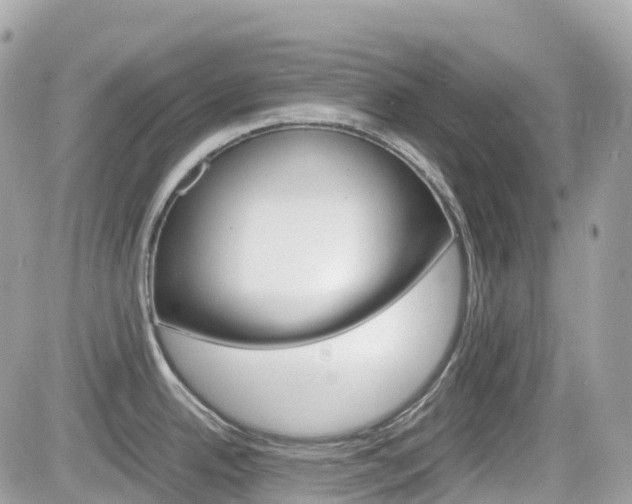 X0000082201342200701191041