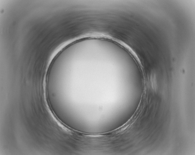 X0000082201343200701191041