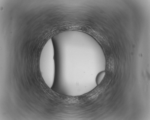 X0000082201346200701191040
