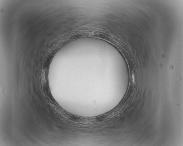 X0000082201347200701191040