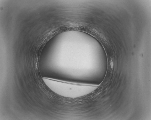 X0000082201348200701191040