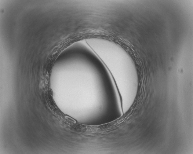X0000082201349200701191040