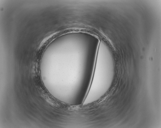 X0000082201352200701191040