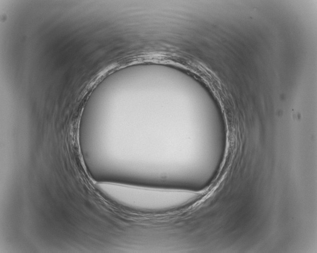 X0000082201353200701191040