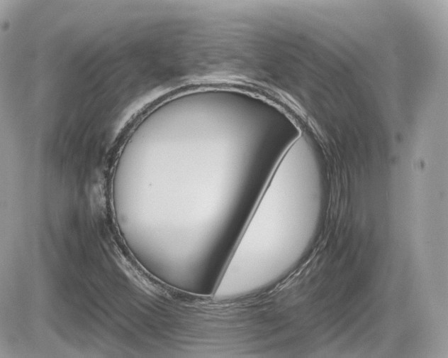 X0000082201356200701191040