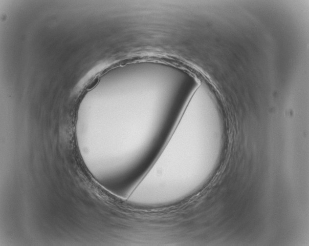 X0000082201359200701191040