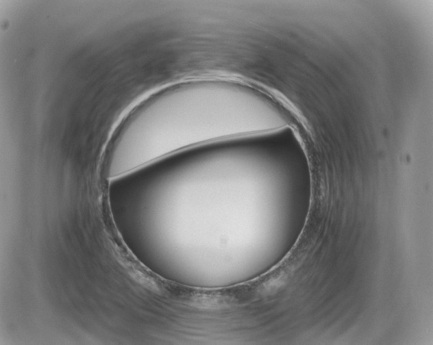 X0000082201364200701191039